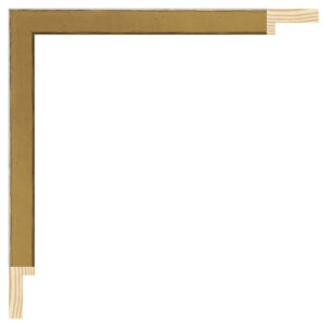 Guld liste m/sort kant, 15 x 30 mm