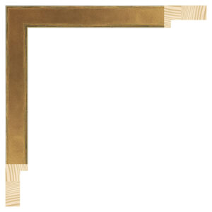 Guld liste m/sort kant, 20 x 38 mm