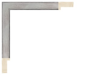 Børstet sølv liste m/sort næse, 20 x 38 mm