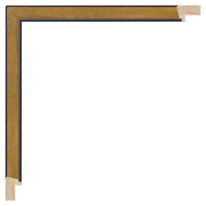 Mat sort m/bred guld, 15 x 22 mm