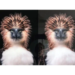 Trulife acryl - Facemounting