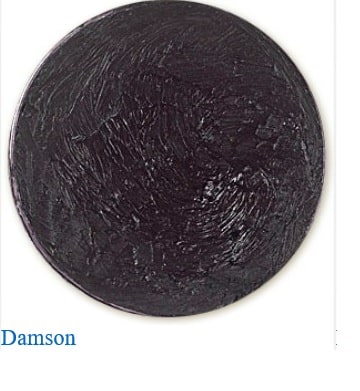 Gilders damson pasta 30 ml